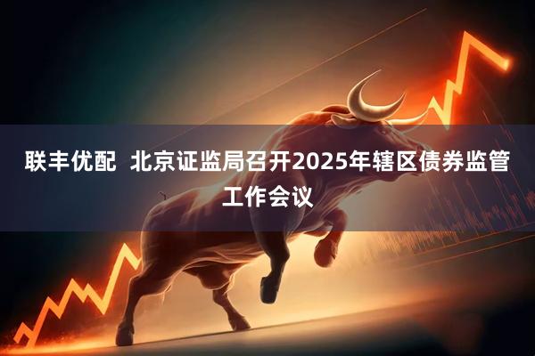 联丰优配  北京证监局召开2025年辖区债券监管工作会议
