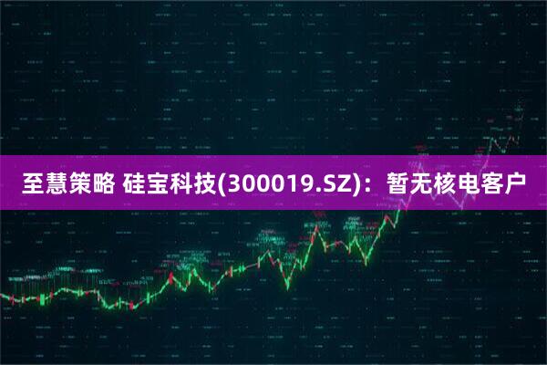 至慧策略 硅宝科技(300019.SZ)：暂无核电客户